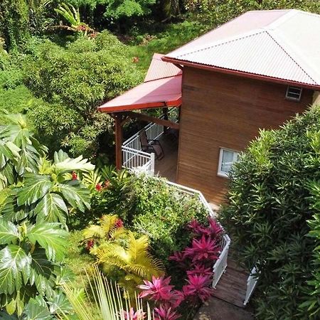 Mahogany Lodge - Oasis Cosy Riviere-Pilote Экстерьер фото
