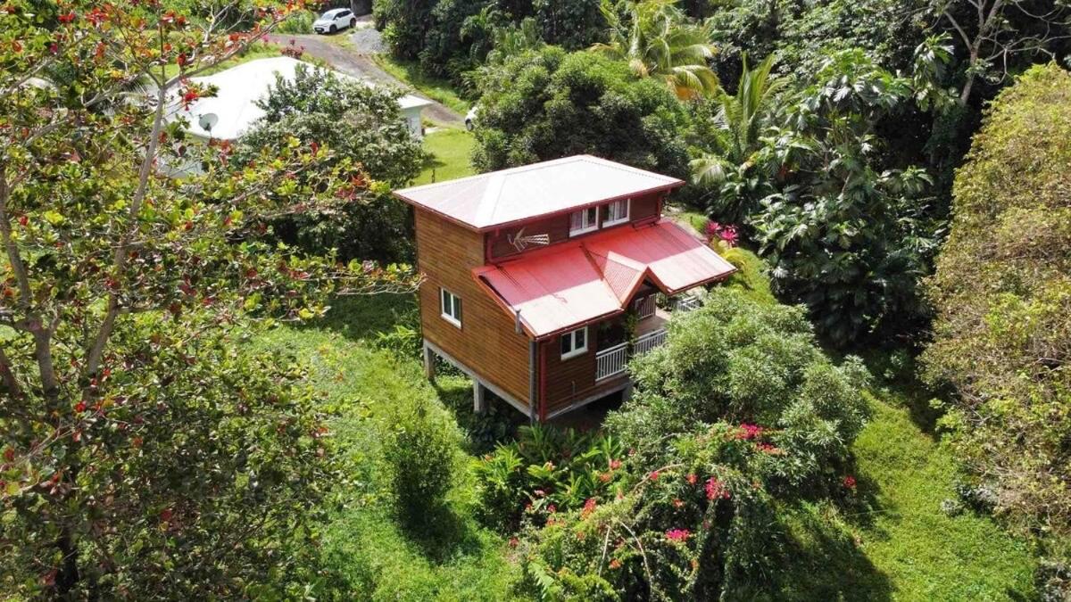 Mahogany Lodge - Oasis Cosy Riviere-Pilote Экстерьер фото